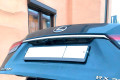Защита камеры - LEXUS RX 300 2019-2024г.в. (IV рестайлинг) 