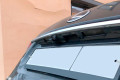 Защита камеры - LEXUS RX 300 2019-2024г.в. (IV рестайлинг) 