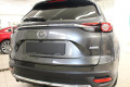 Защита камеры - MAZDA CX-9 2015-2021г.в. (II) 