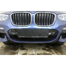 Защита радиатора - BMW X3 (G01) (20i/20d/30d AT Base) 2017-2021 г.в. (III)