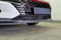 Защита радиатора - DONGFENG SHINE MAX 2021-2025г.в. (I)