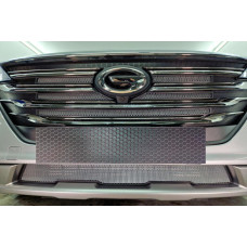 Защита радиатора - GAC GS5 2018-2024г.в. (I) 