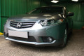 Защита радиатора - HONDA ACCORD 2011-2013г.в. (VIII рестайлинг) 