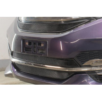 Защита радиатора - HONDA STEPWGN 2015-2017г.в. (V)