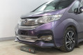 Защита радиатора - HONDA STEPWGN 2015-2017г.в. (V)