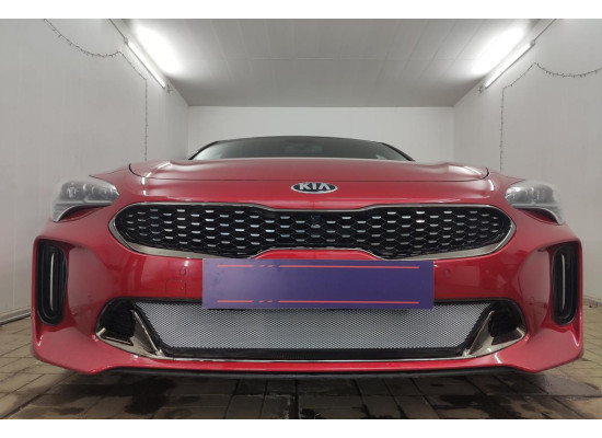 Защита радиатора - KIA STINGER 2017-2021г.в. (I)