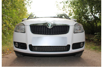 Защита радиатора - SKODA FABIA 2007-2010г.в. (II) 