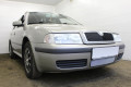 Защита радиатора - SKODA OCTAVIA A4 2000-2010г.в. (I рестайлинг) Защита радиатора - SKODA OCTAVIA A4 2000-2010г.в. (I рестайлинг)