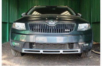 Защита радиатора - SKODA OCTAVIA А7 SCOUT 2013-2017г.в. (III)