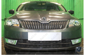 Защита радиатора - SKODA RAPID 2012-2017г.в. (I)