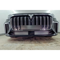 Защита радиатора - VOYAH DREAM 2021-2024г.в. (I) 