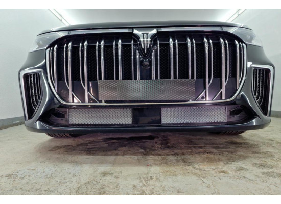 Защита радиатора - VOYAH DREAM 2021-2024г.в. (I) Защита радиатора - VOYAH DREAM 2021-2024г.в. (I)