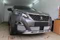 Защита радиатора - PEUGEOT 3008 2009-2013г.в. (I)