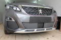 Защита радиатора - PEUGEOT 3008 2009-2013г.в. (I)