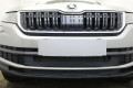 Защита радиатора - SKODA KODIAQ 2016-2022г.в. (I) 