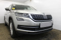 Защита радиатора - SKODA KODIAQ 2016-2022г.в. (I) 