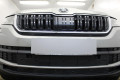 Защита радиатора - SKODA KODIAQ 2016-2022г.в. (I) 