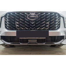 Защита радиатора - GAC GS8 2023-2024г.в. (II)