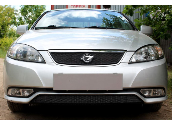 Защита радиатора - RAVON GENTRA 2015-2018г.в. (I)