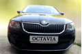 Защита радиатора - SKODA OCTAVIA A7 2013-2017г.в. (III)