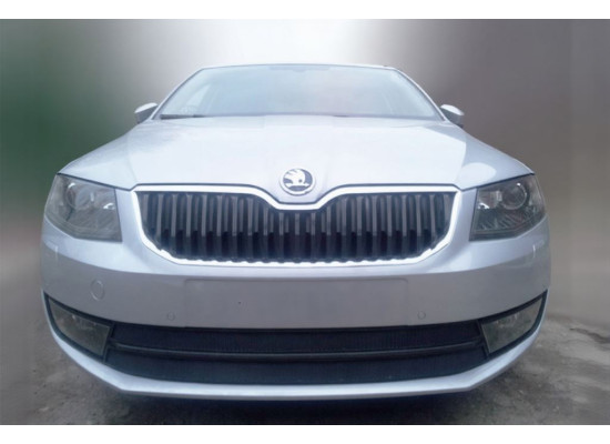 Защита радиатора - SKODA OCTAVIA A7 2013-2017г.в. (III) 