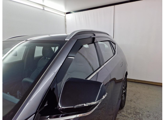 2D Дефлектор окон - GAC GS4 2024-2025г.в. (I)