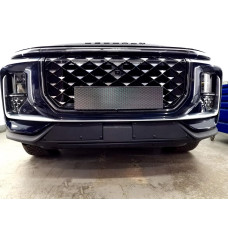 Защита радиатора - SOUEAST S09 2024-2025г.в. (I)