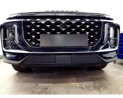 Защита радиатора - SOUEAST S09 2024-2025г.в. (I)