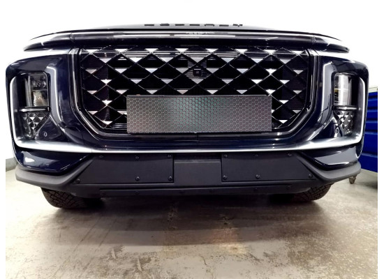 Защита радиатора - SOUEAST S09 2024-2025г.в. (I)