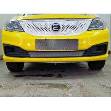 Защита радиатора - EVOLUTE I-PRO 2022-2025г.в. (I) 