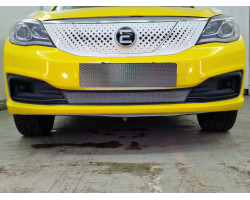 Защита радиатора - EVOLUTE I-PRO 2022-2025г.в. (I) 