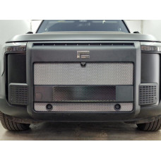 Защита радиатора - POLAR STONE 01 2023-2025г.в. (I) 