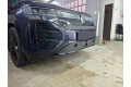 Защита радиатора - VOLKSWAGEN TERAMONT PRO 2025-2026г.в. (I)