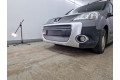 Защита радиатора - PEUGEOT PARTNER 2008, 2009, 2010, 2011, 2012г.в. (II)